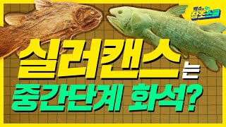 [맥스의 창조스쿨] 실러캔스는 중간단계 화석?