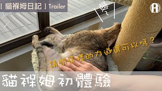 「貓保姆日常」貓保母初體驗一分鐘版 / Pet sitter in a minute.