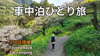 [66] Plum Blossom Carryover, a girl left in the car of the car #carcamping #Angela安卓 #4k