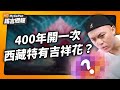 400年開一次的西藏吉祥花？雙手舉高大力跳助排尿？炒蛋加鹽產生毒物？｜MyGoPen 謠言週報 #9