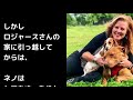 震えが止まらない犬！飼い主に捨てられ怖がりになった犬が…【感動実話】