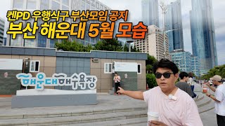 켄PD와 함께 부산 해운대! 6월 1일 모임 공지도 알려 드립니다