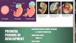 CH24 Growth, Deevelopment,and Aging Lecture