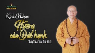 Kinh Nikaya | Hương Của Đức Hạnh | Thầy Thích Trúc Thái Minh