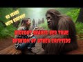 BIGFOOT SHARES HER HONEST OPINION OF OTHER CRYPTIDS                       EPISODE 771