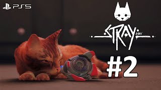 PS5《Stray》(浪貓)#2 - 逃出充滿謎團的賽博城市