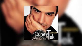 Cüneyt Tek - Gidersen