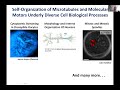 Dan Needleman: Tutorial - Active Matter, Microtubules and Cell Division