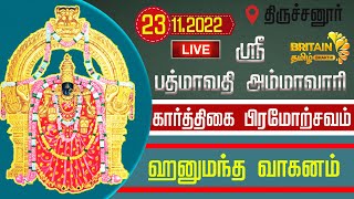 LIVE-திருப்பதி ஹனுமந்த வாகனம் ஸ்ரீ பத்மாவதி அம்மாவாரி கோவில் -கார்த்திகை பிரம்மோற்சவம்