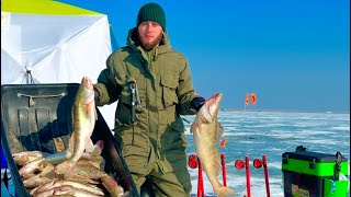 НАШЛИ ЛОГОВО ТРОФЕЕВ ! ЭКШН РЫБАЛКА ! ТАКУЮ РЫБАЛКУ ЗАПОМНИШЬ НА ВСЮ ЖИЗНЬ!