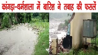 धर्मशाला के स्कूल में मची तबाही, ढह गई दीवारें | Big Disaster | Kangra | Dharamshala