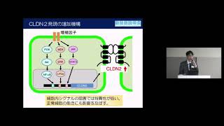 「微小環境内への抗がん剤透過性を亢進させるクローディン結合薬の開発」　岐阜薬科大学　生命薬学大講座　生化学研究室　教授　五十里 彰