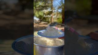 #طلعة سريعة مع #عائلتي اجواء الريف في #البصرة اجنن🤍