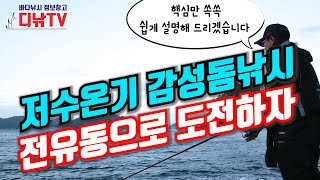 저수온기 감성돔낚시 전유동으로 도전하자!