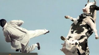 Kung Pow: Enter the Fist (4/5) Movie CLIP - Cow Fight (2002)