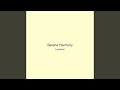 Serene Harmony