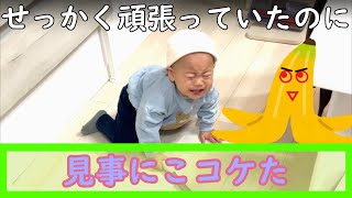 【お手伝い頑張ってるのに！見事に転ぶ赤ちゃん😫】赤ちゃん1歳5ヶ月