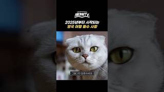 2025년부터 영국 여행 가려면 뭐가 필요할까?