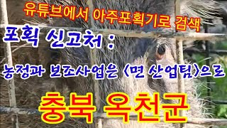 아주포획기 (보조사업용 멧돼지포획틀) 충북 옥천군 - 신고요령, 멧돼지 포획, 멧돼지 트랩, 멧돼지 덫,  @아주포획기