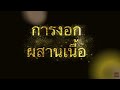 พระสมเด็จ วัดระฆัง อายุร้อยกว่าปี ดูอย่างไร พระเครื่อง พระสมเด็จ ep 2