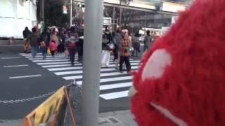 TokyoHarajuku神宮橋にハレハレ楽団がやてきた( ´ ▽ ` )ﾉ神田ハレハレ