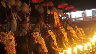 Kuttanellur pooram 2022