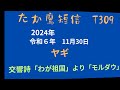 t309　　2024年11月30日　ヤギ　　音楽　スメタナ　交響詩「わが祖国」より「モルダウ」　　南部丘陵公園　　たか鷹短信