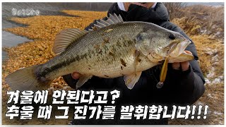 겨울만 되면 배스들이 좋아하는 것들이 있죠...!(feat. 박성완 )