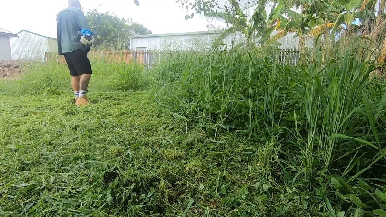 Satisfying Overgrown Lawn Clean Up Mowing Tall Grass Youtube