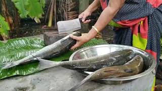 How to Cut and Clean a Big Fish Before Cooking | Thirutha Fish | തിരുത മീൻ | Grey Mullet Fish India