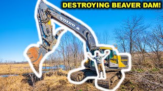 I’m Finally DESTROYING the GIANT BEAVER DAM (The Finale)