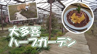 大多喜ハーブガーデンでラン＆ご飯！