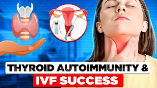 Is IVF Success hopeless if you have high thyroid antibodies (Hashimoto's)?