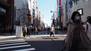 新宿通り　歩行者天国を歩く　今日は祝日　2020.2.11