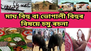 মাঘ বিহু বা ভোগালী বিহুৰ বিষয়ে সৰু ৰচনা,short essay on magh bihu