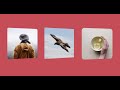 3D parallax effect on hover CSS pure and HTML | Step By Step