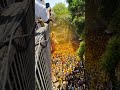 parel cha raja visarjan ganpati ganesha visarjan 2024 ytshorts