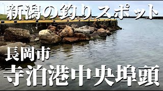 新潟の釣りスポット〈寺泊港 中央埠頭〉アジ・サバ・イワシ・サヨリなどが釣れるファミリーフィッシングに最適な釣り場です