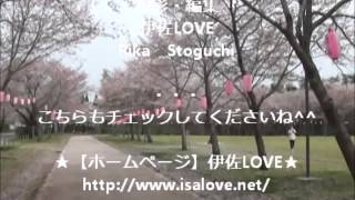 2013年桜祭り「忠元公園」鹿児島県内唯一の、日本さくら名所100選＠鹿児島県伊佐市