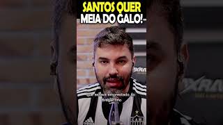 🔴 SANTOS QUER MEIA DO GALO! | NOTÍCIAS DO GALO #galo #atlético #atleticomg