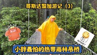 #尔湾生活白皮书 哥斯达黎加游记（3），探险热带雨林，小胖被吊桥吓到了，哈哈