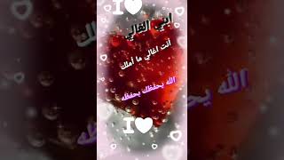 ابني الغالي....💞💞💞💞💞💞❤❤❤❤❤❤