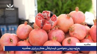 بەڕێوەچوونی حەوتەمین فیستیڤاڵی هەنار و پایزی هەڵەبجە