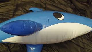 A Closer Look | old Inflatable Dolphin