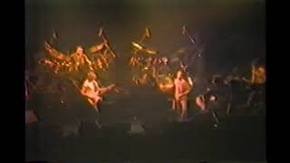 Genesis-  live 12 6 81- Like It Or Not - Toronto - Maple Leaf Gardens