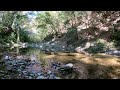 healed by the sound of the river in the forest asmr environmental sounds