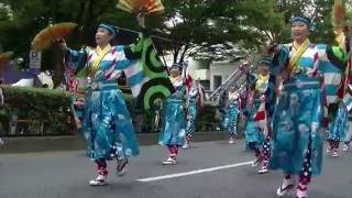 原宿スーパーよさこい2016／2日目／とらっくよさこい（ちふれ）①3