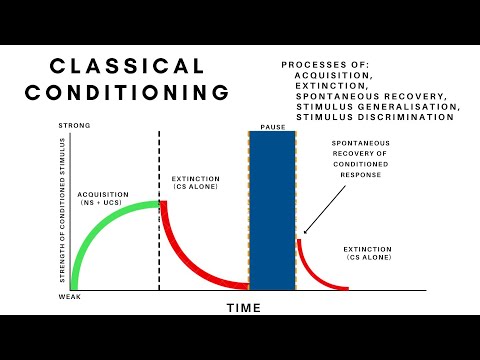 What are the 5 major conditioning processes?
