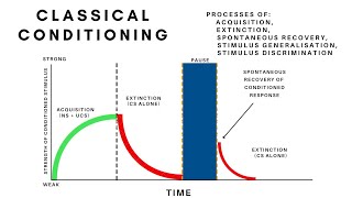Classical Conditioning-Acquisition, Extinction,Spontaneous Recovery, Generalisation & Discrimination