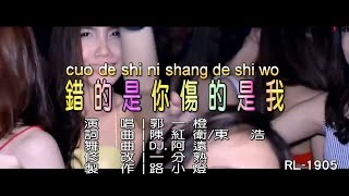 郭一橙 | 錯的是你傷的是我 | (DJ修改版) | (1080P)KTV